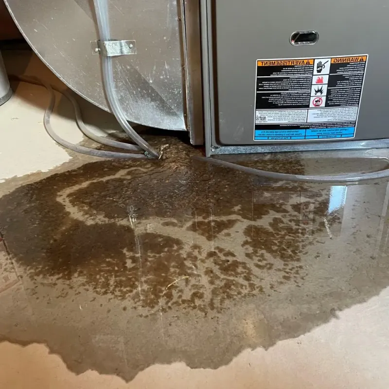 Pipe Burst and Leak Restoration in Coral Hills, MD